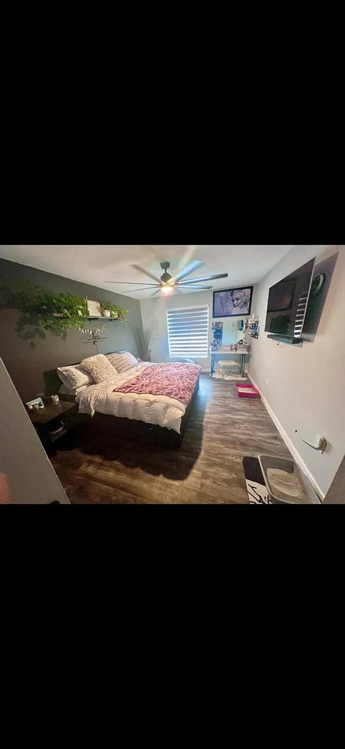 Stephen's room