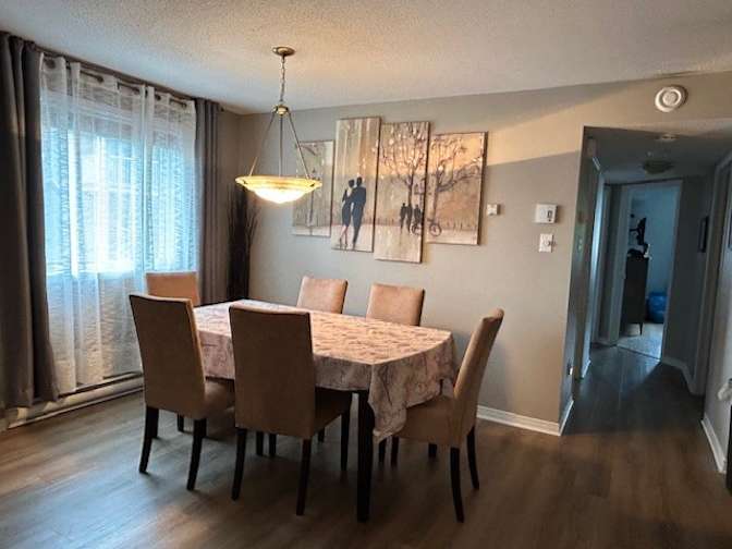 Alexandre Moricz's room