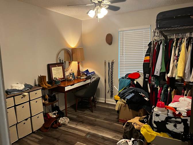 Cat's room
