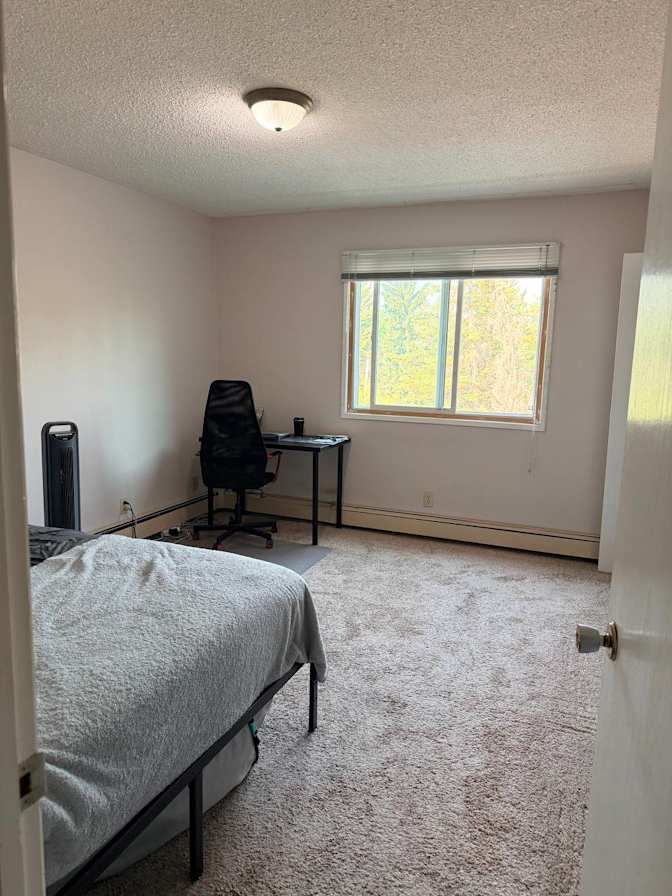 Saleh's room