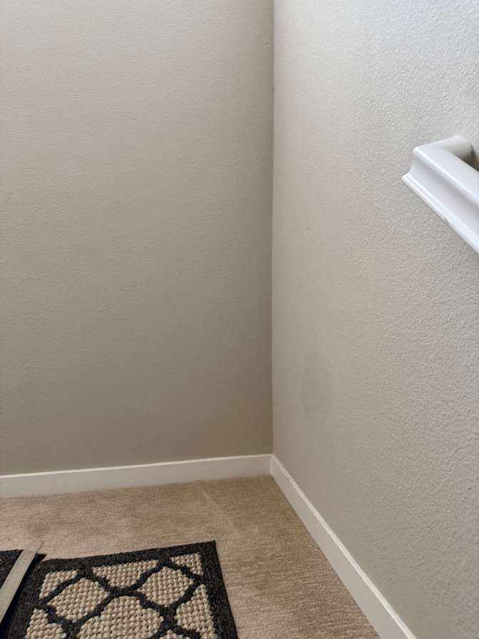 sophia's room