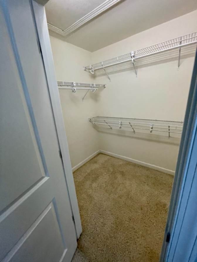 Alcove Rooms's room