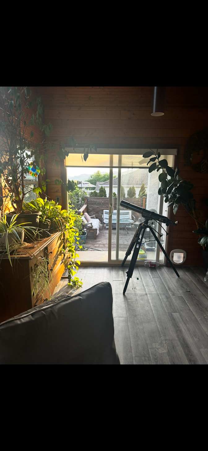 Andrea's room