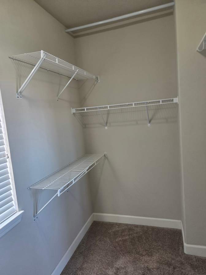 Jenn's room