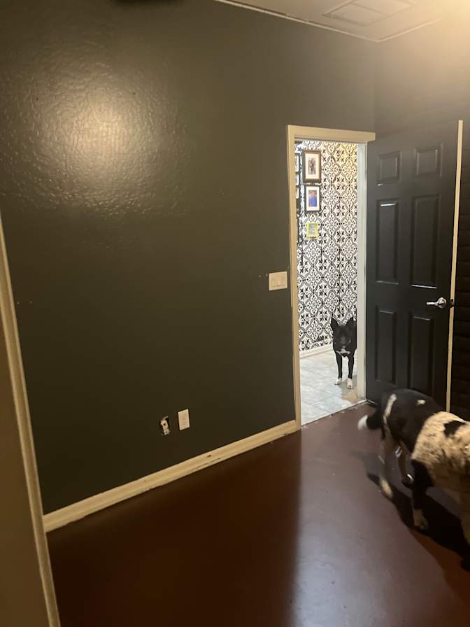 Tamera's room