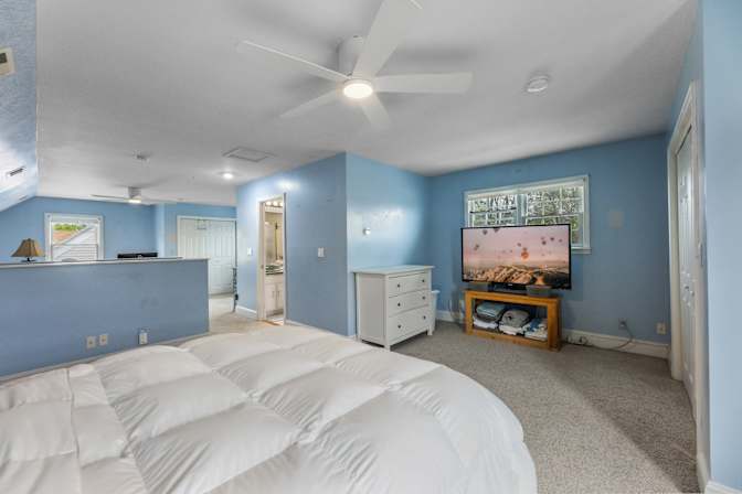 David Zas's room