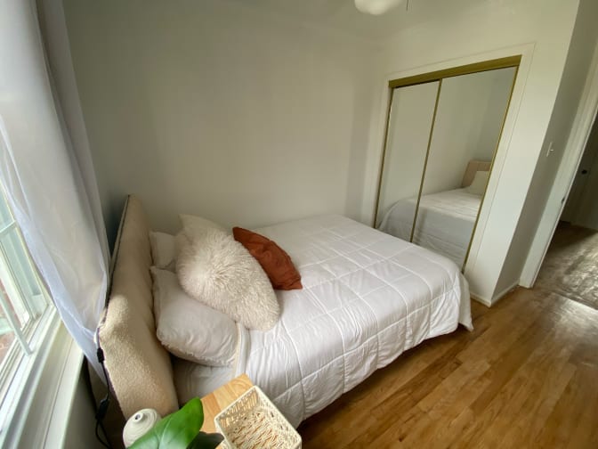 Haelly's room