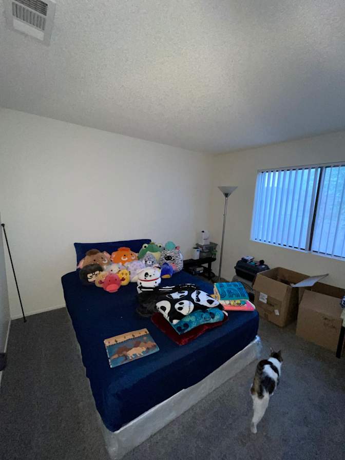 Isaac's room