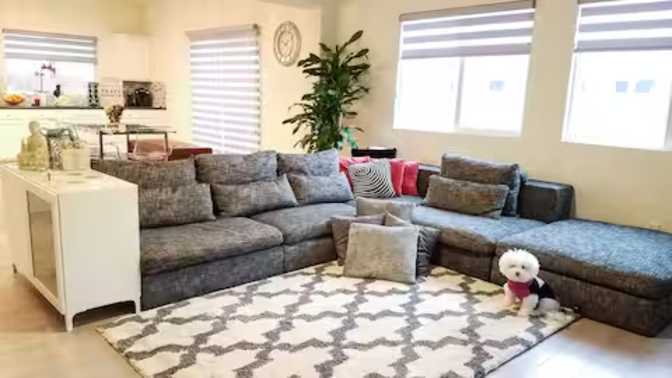 Zen's room