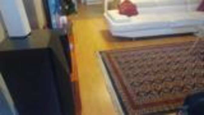 Shad Marang's room