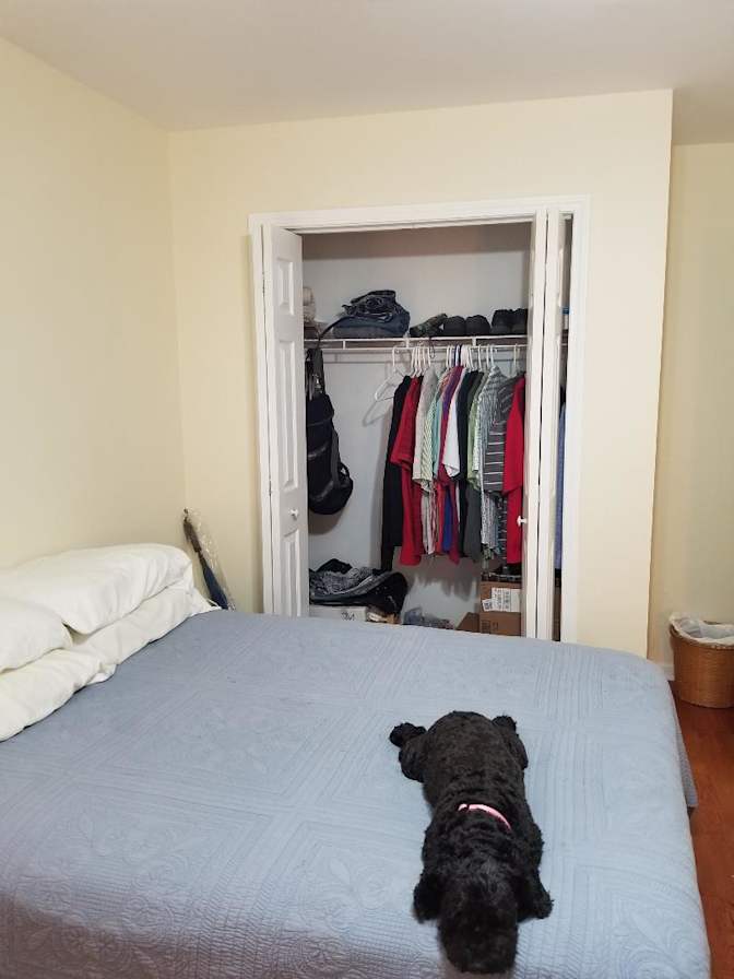 Marci's room