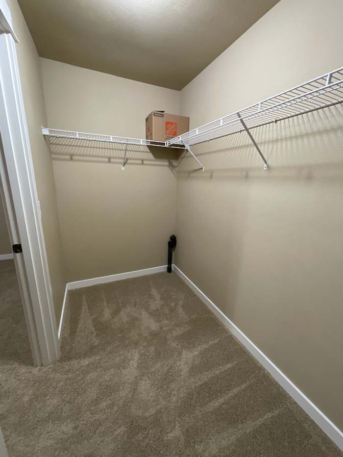 Stephanie's room