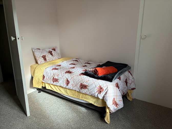 Frankie Tran's room