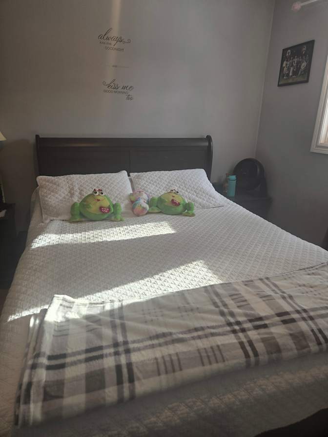 Shelley's room