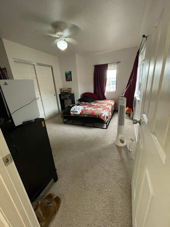 Moni's room