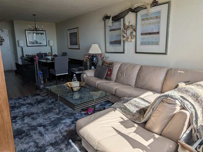 Shane's room