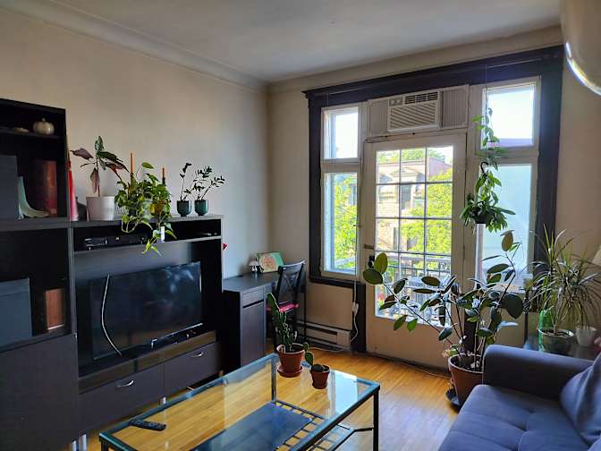 Janna Matoussova's room