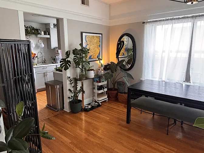 Kaiser J's room