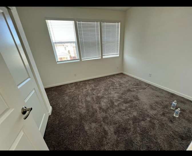 Manuss's room