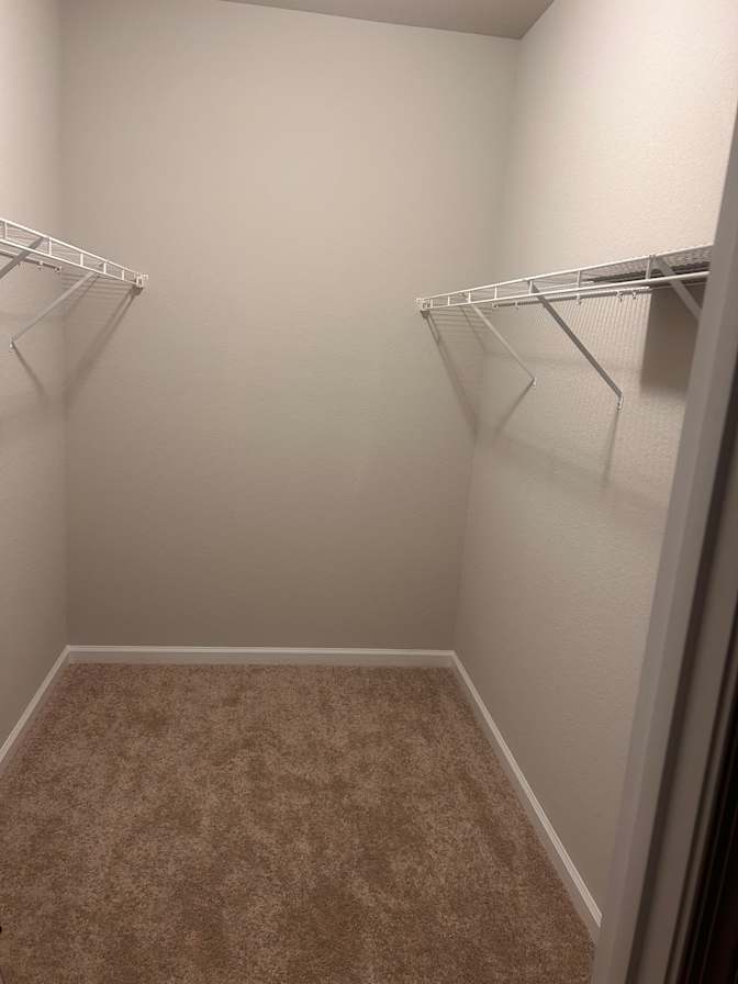 Aallisha's room