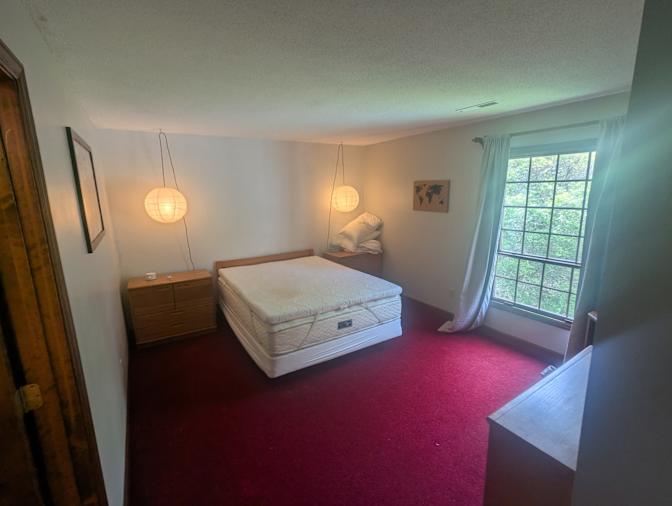 Lisa's room
