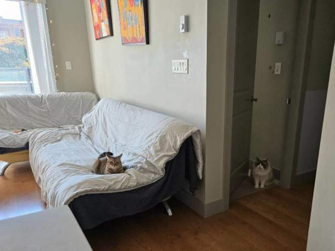 Valyrena's room