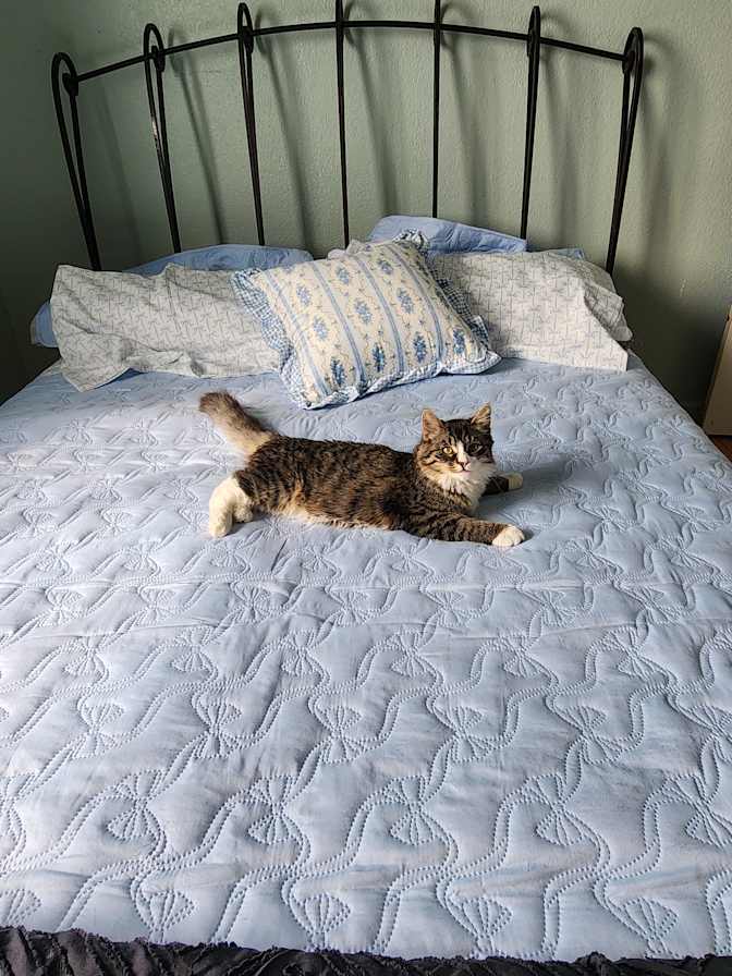 Matthew's room