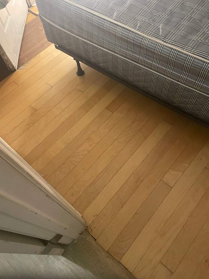 Paulette's room