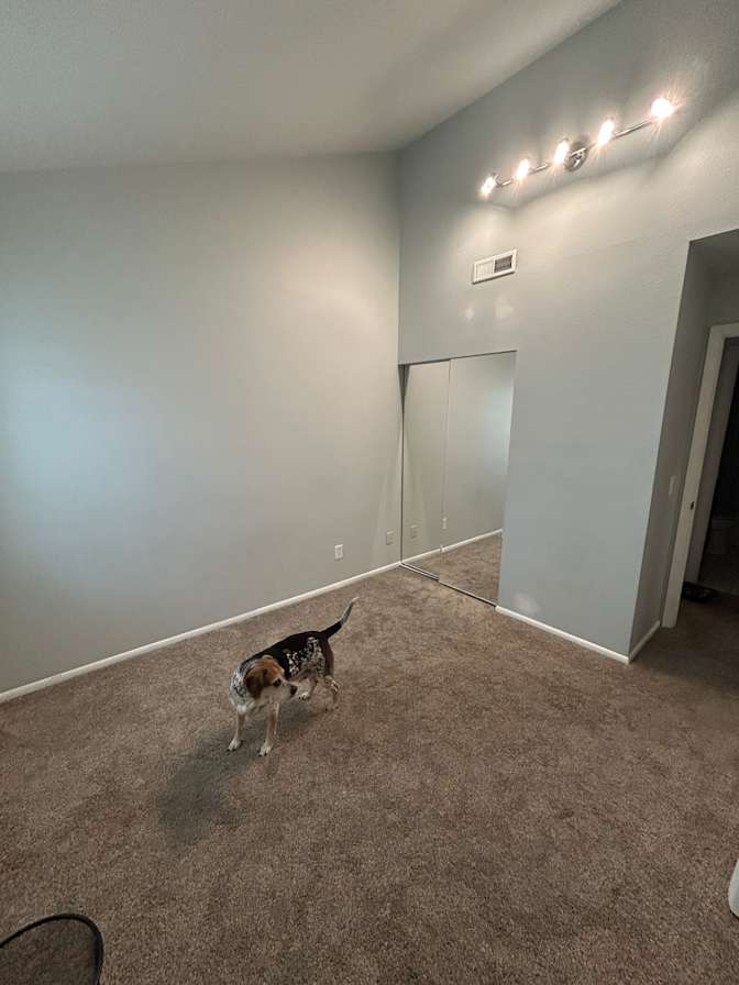 Karlee's room