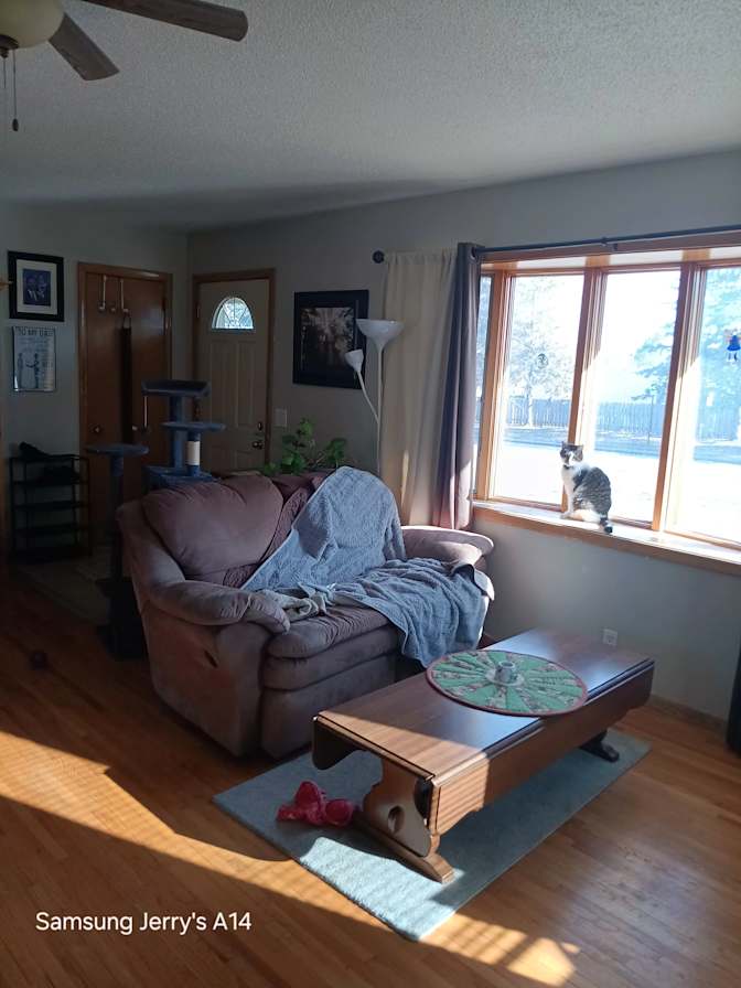 Jerry's room