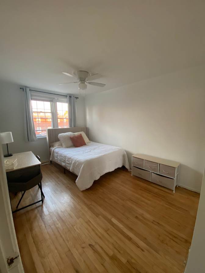 Haelly's room