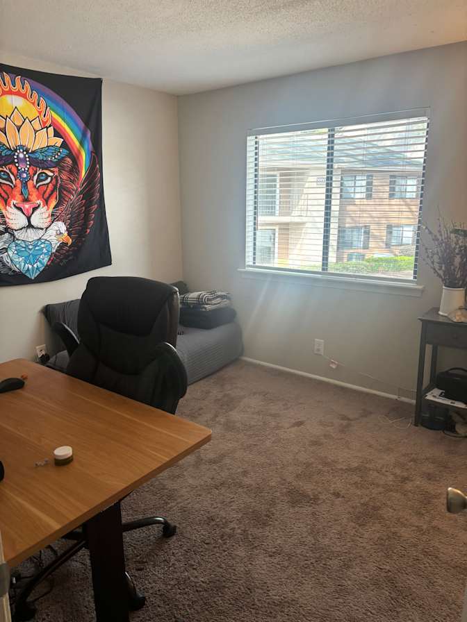 Taylor's room