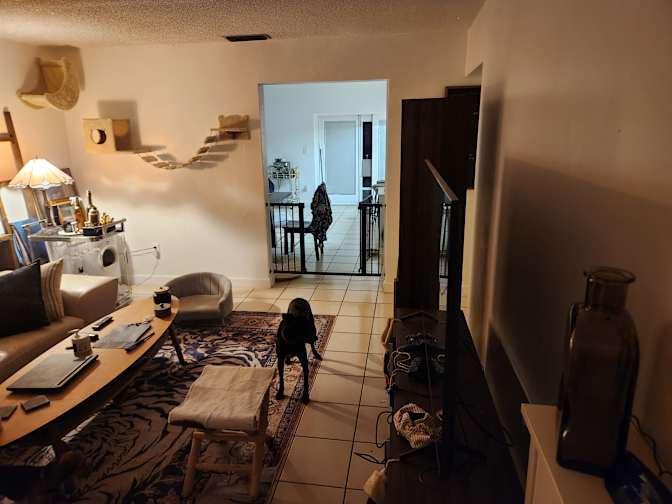 Andrew's room