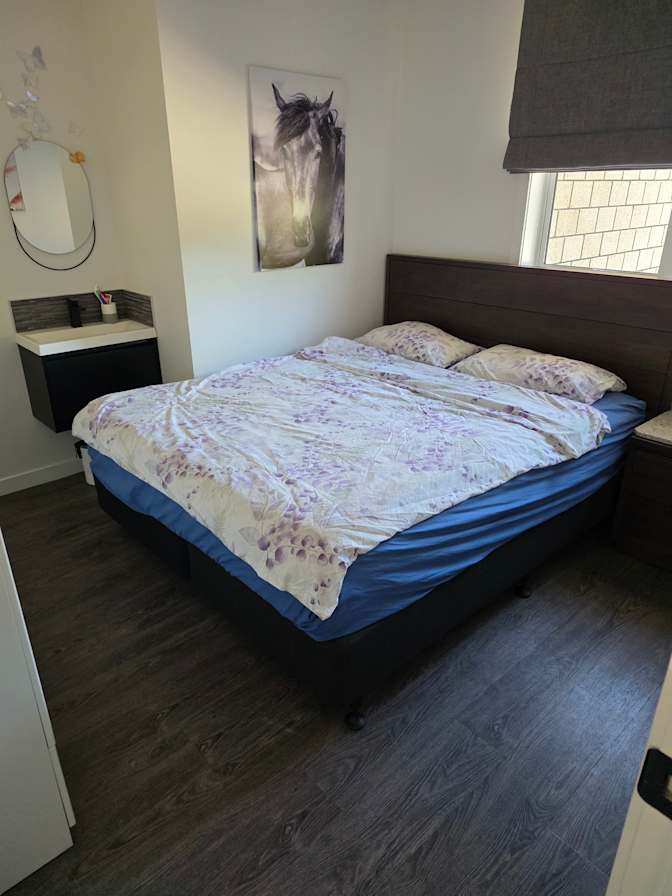Sandro's room