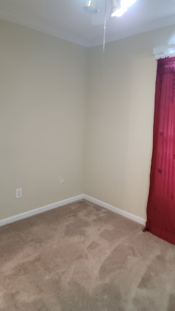 Rose's room