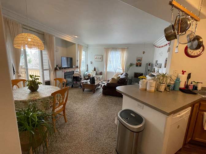 Jessica Wise's room