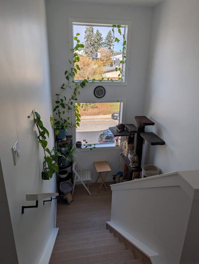 Fllow's room