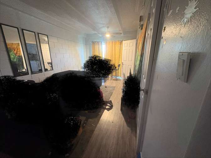 Chiquita's room