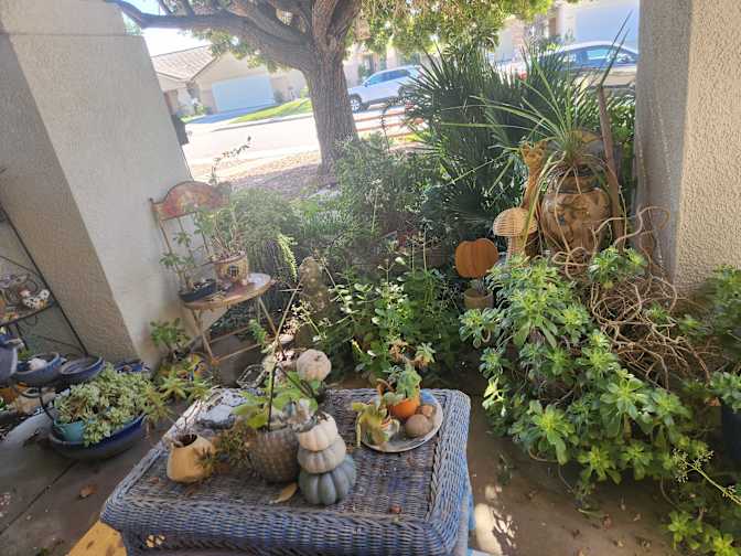 Juanita's room