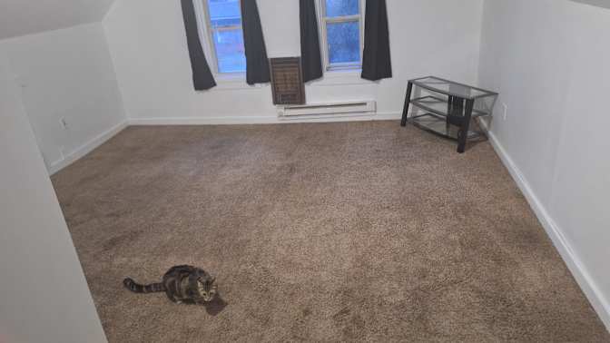 Zach's room