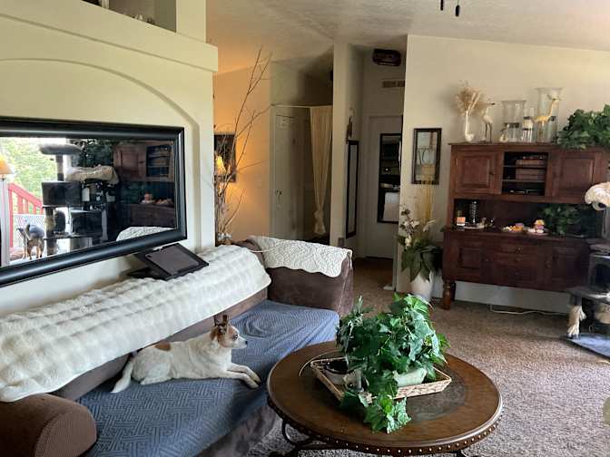 Treena Lynch's room