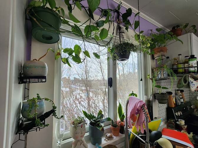 LumiO MoonStone's room