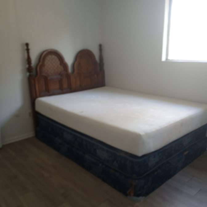 Lisa's room