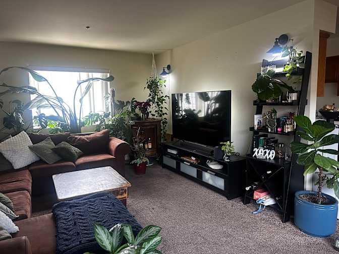 Bobby Jackson's room