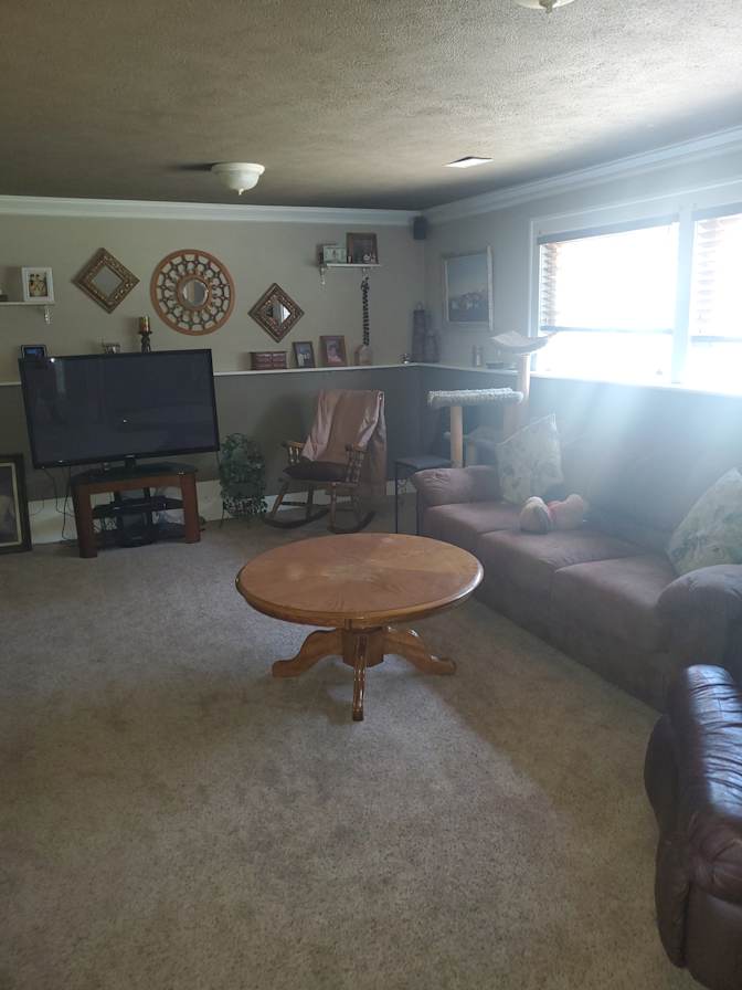 Norm's room