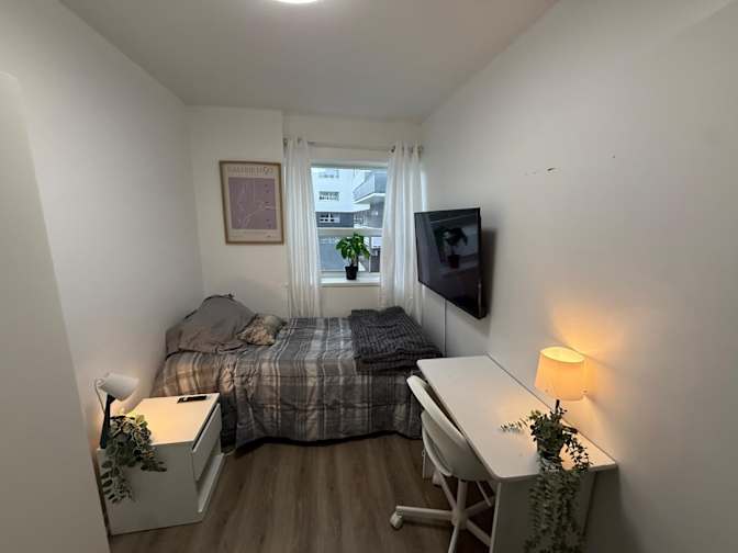 Rabia's room