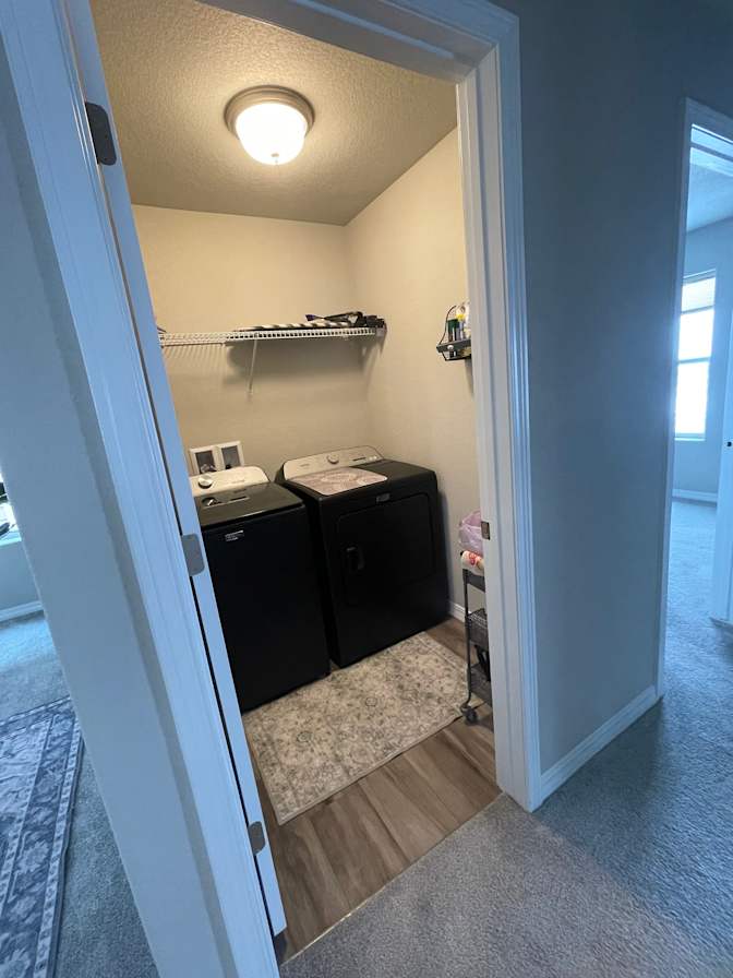 Michelle Starr's room