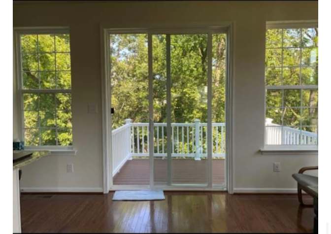 Lynn's room