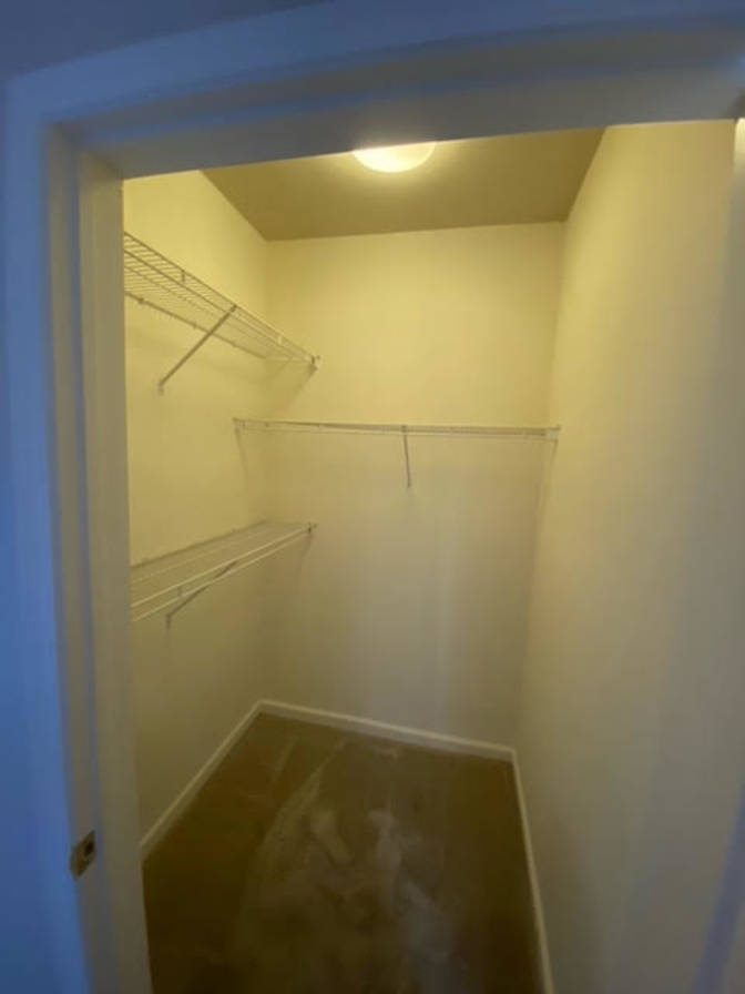 holly's room