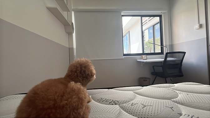 Aaron Woo Soon Yee's room